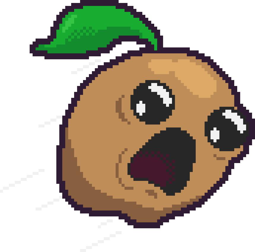 splash screen seed img